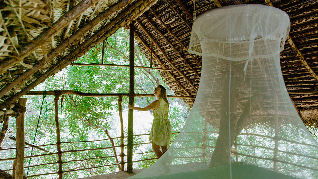 Eco-rondreizen door Sri Lanka (3 dagen)