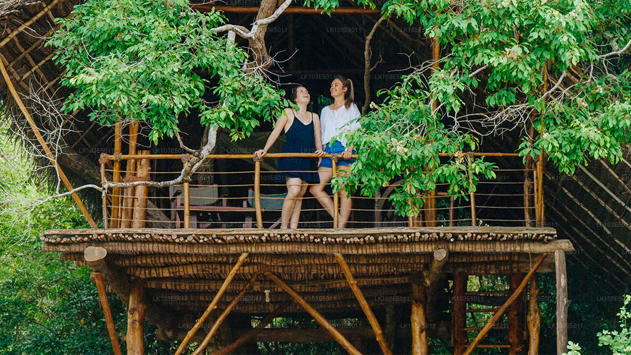 Eco-rondreizen door Sri Lanka (3 dagen)