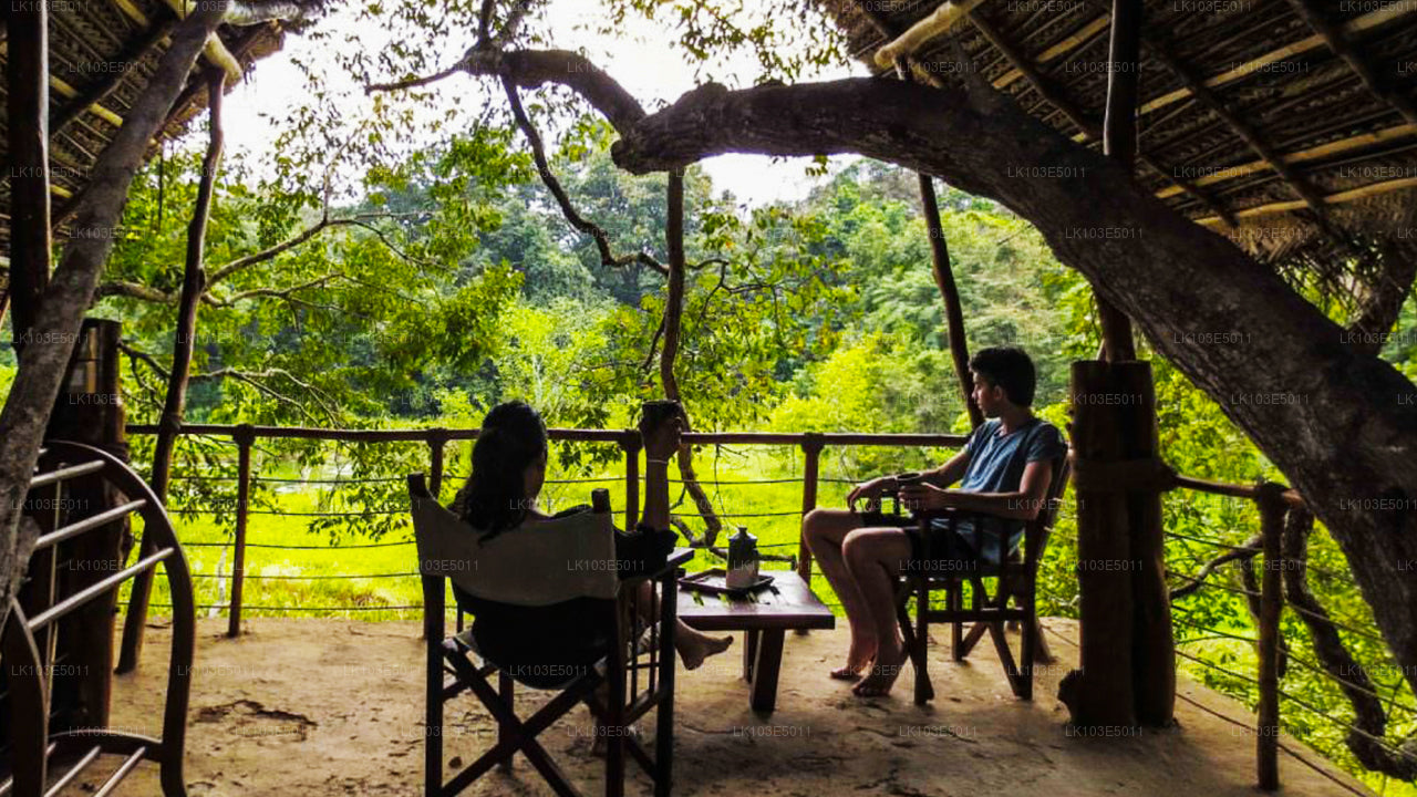 Eco-rondreizen door Sri Lanka (3 dagen)