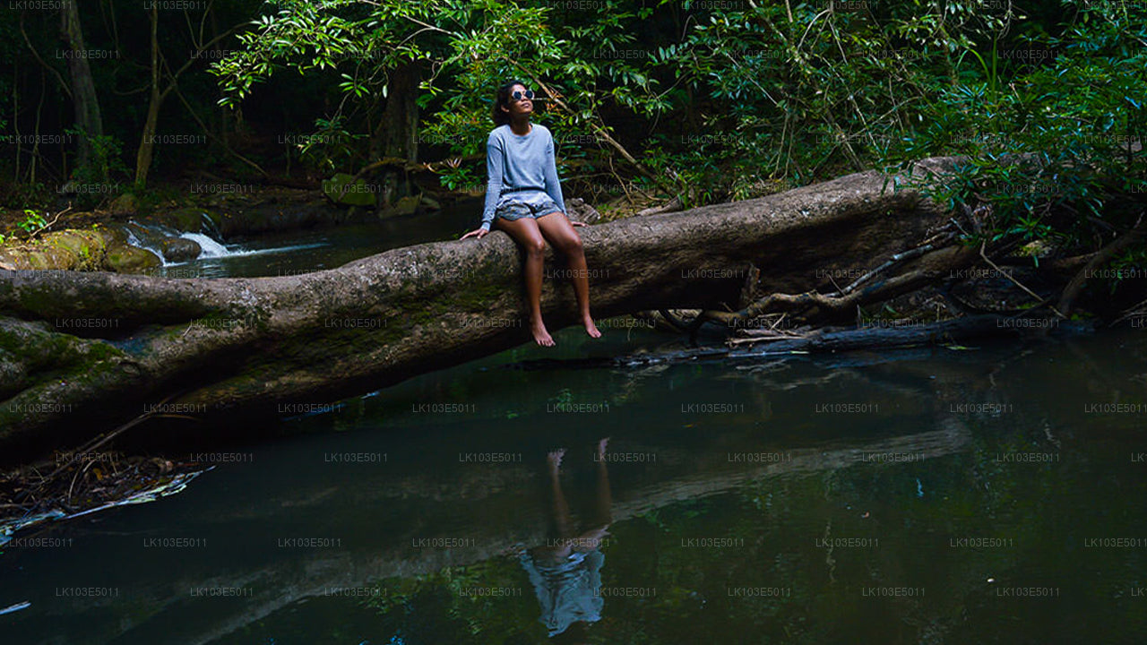 Eco-rondreizen door Sri Lanka (3 dagen)