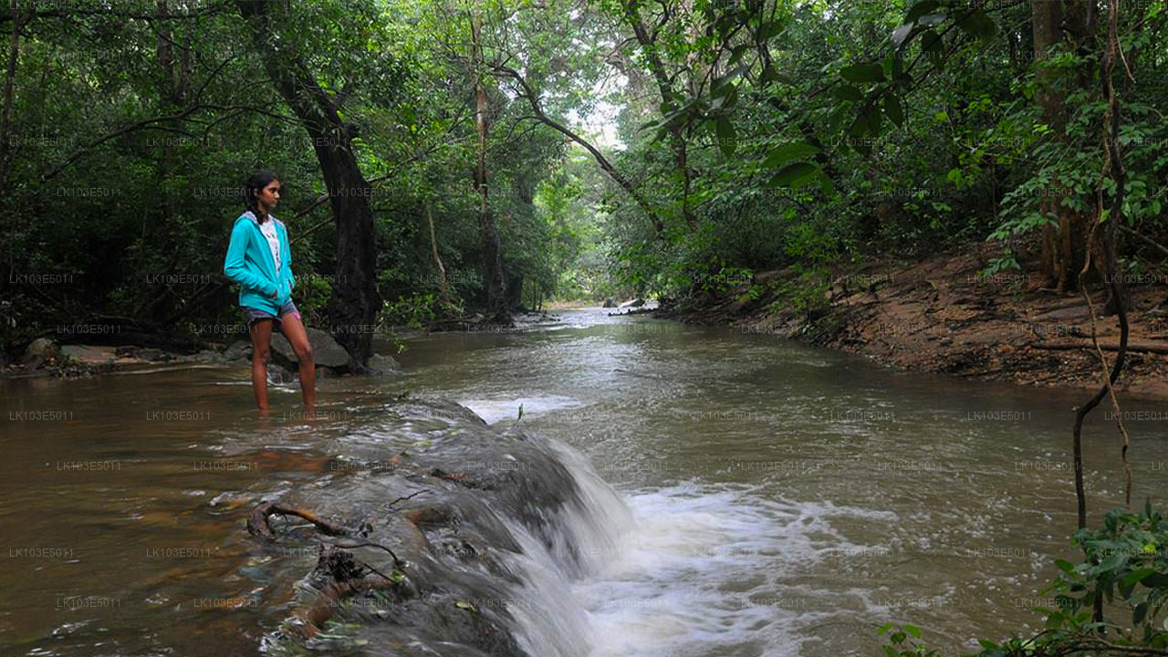 Eco-rondreizen door Sri Lanka (3 dagen)