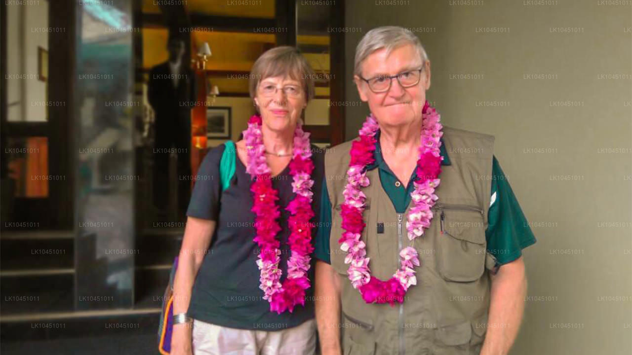 Rondreis door Lanka vanuit Colombo (4 dagen)