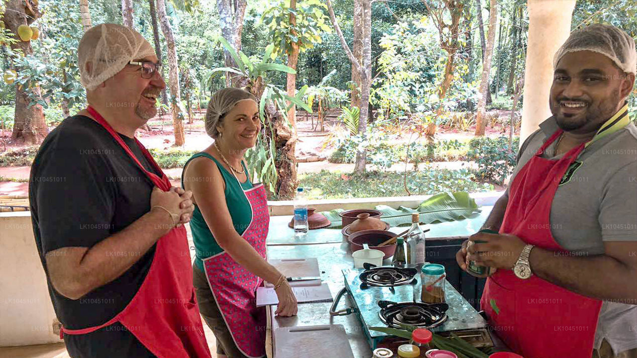 Rondreis door Lanka vanuit Colombo (4 dagen)