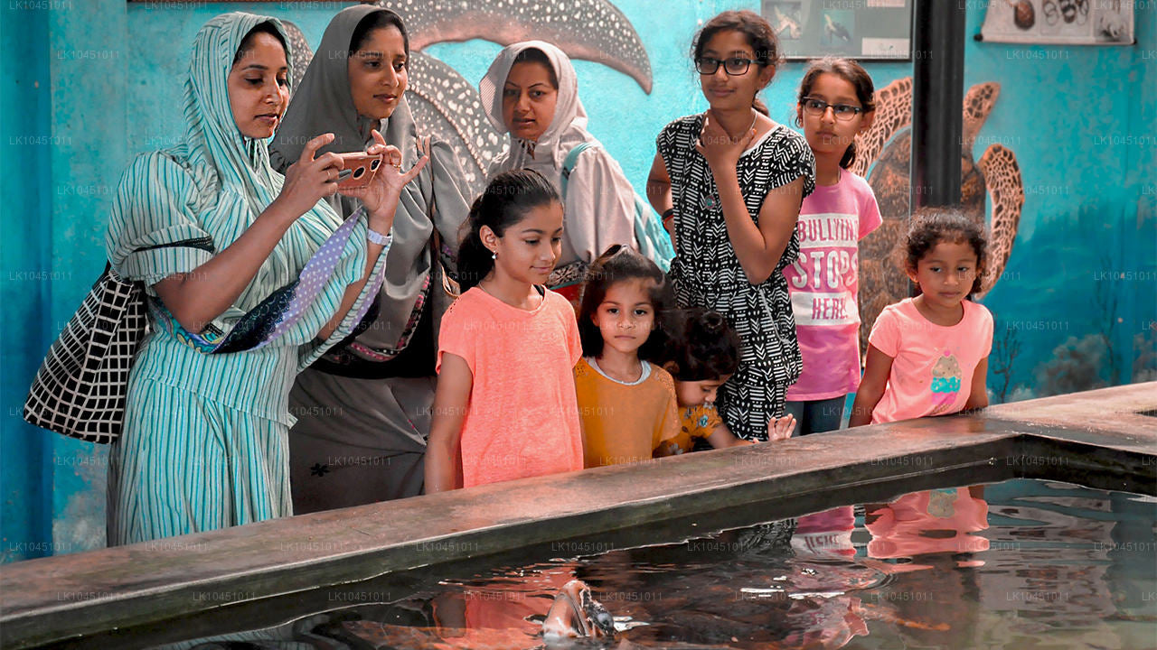 Rondreis door Lanka vanuit Colombo (4 dagen)