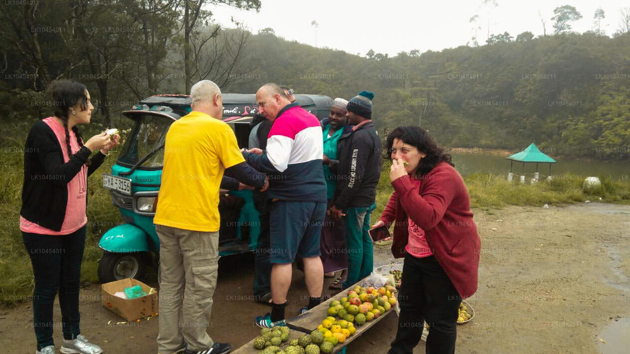 Horton Plains Adventure (4 dagen)
