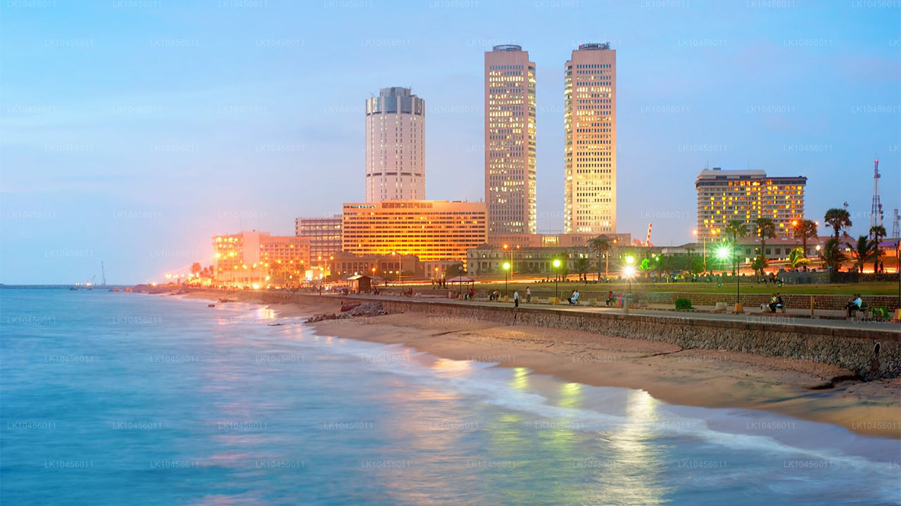 Korte stedentrip (4 dagen)