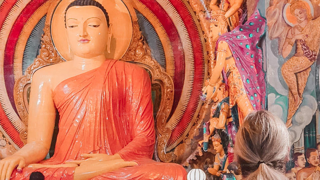 Korte stedentrip (4 dagen)