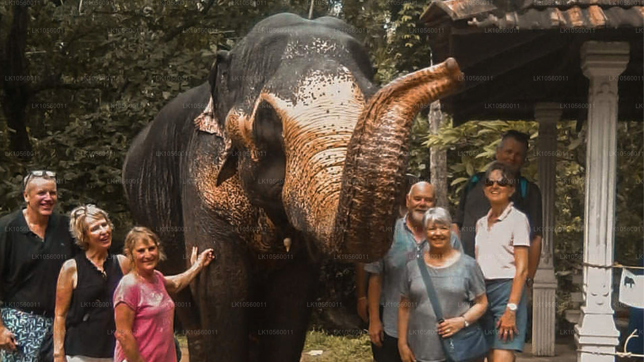 Kustgordel van het Zuiden (5 dagen)