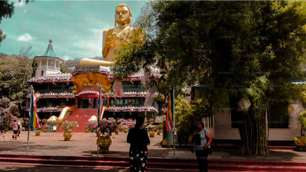 Kustgordel van het Zuiden (5 dagen)