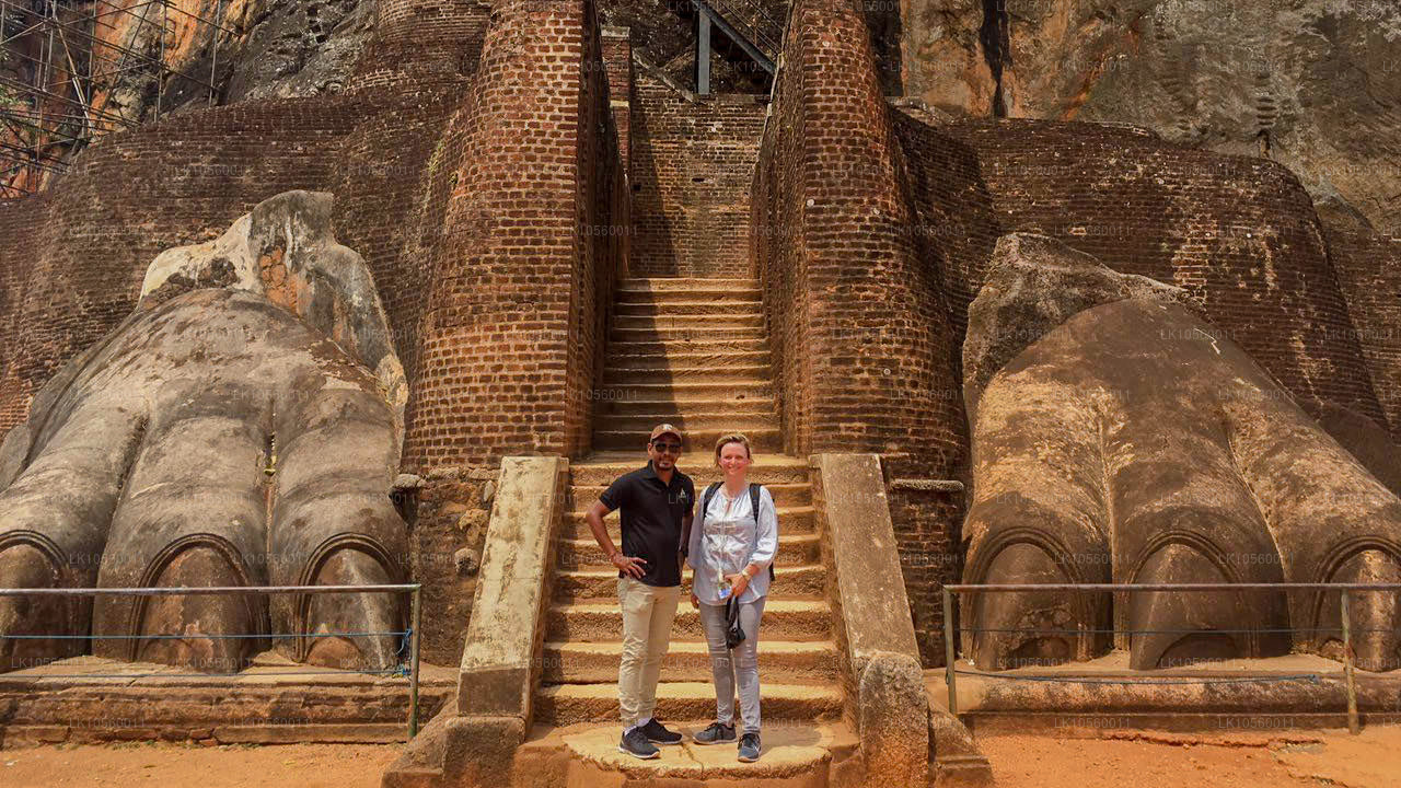 Kustgordel van het Zuiden (5 dagen)