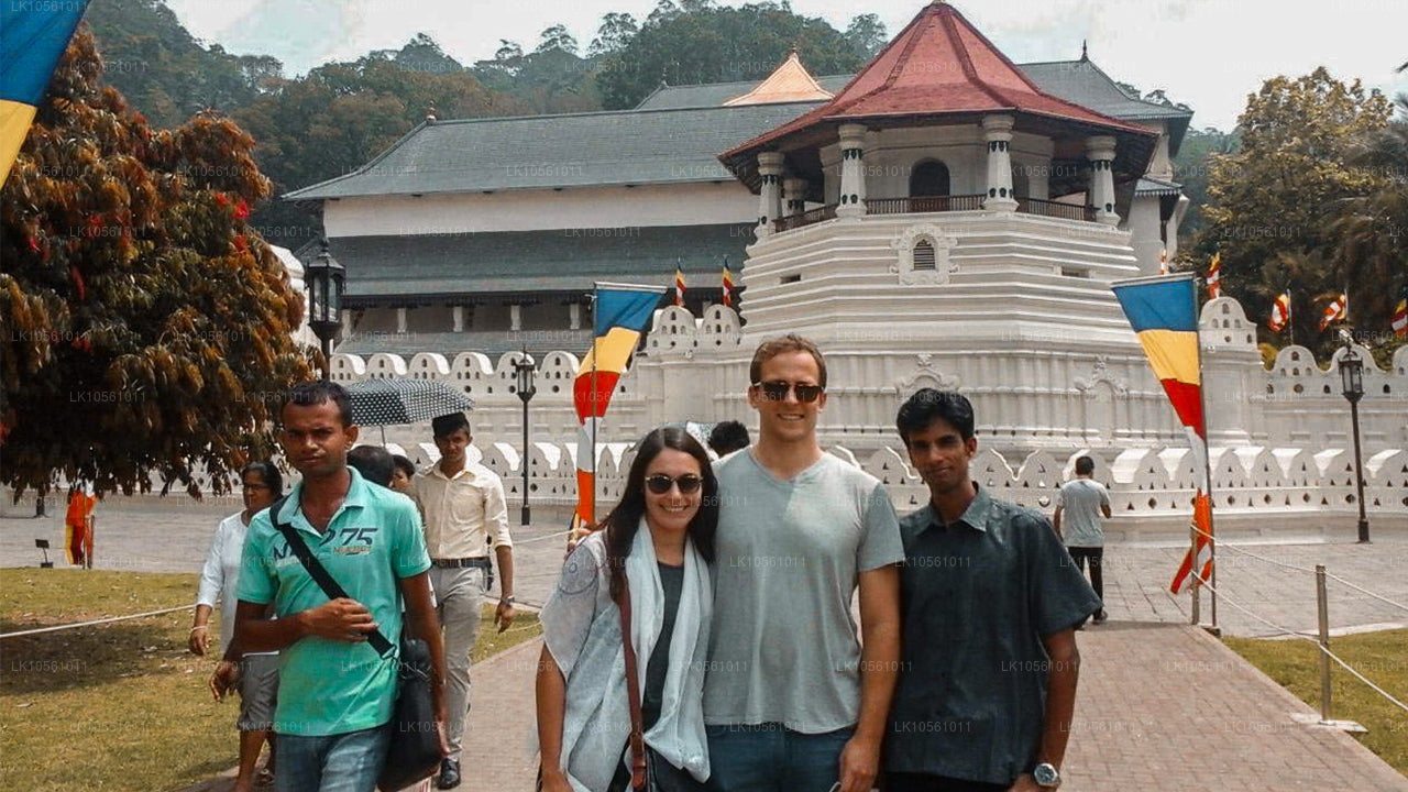 Island of Wonder (5 dagen)