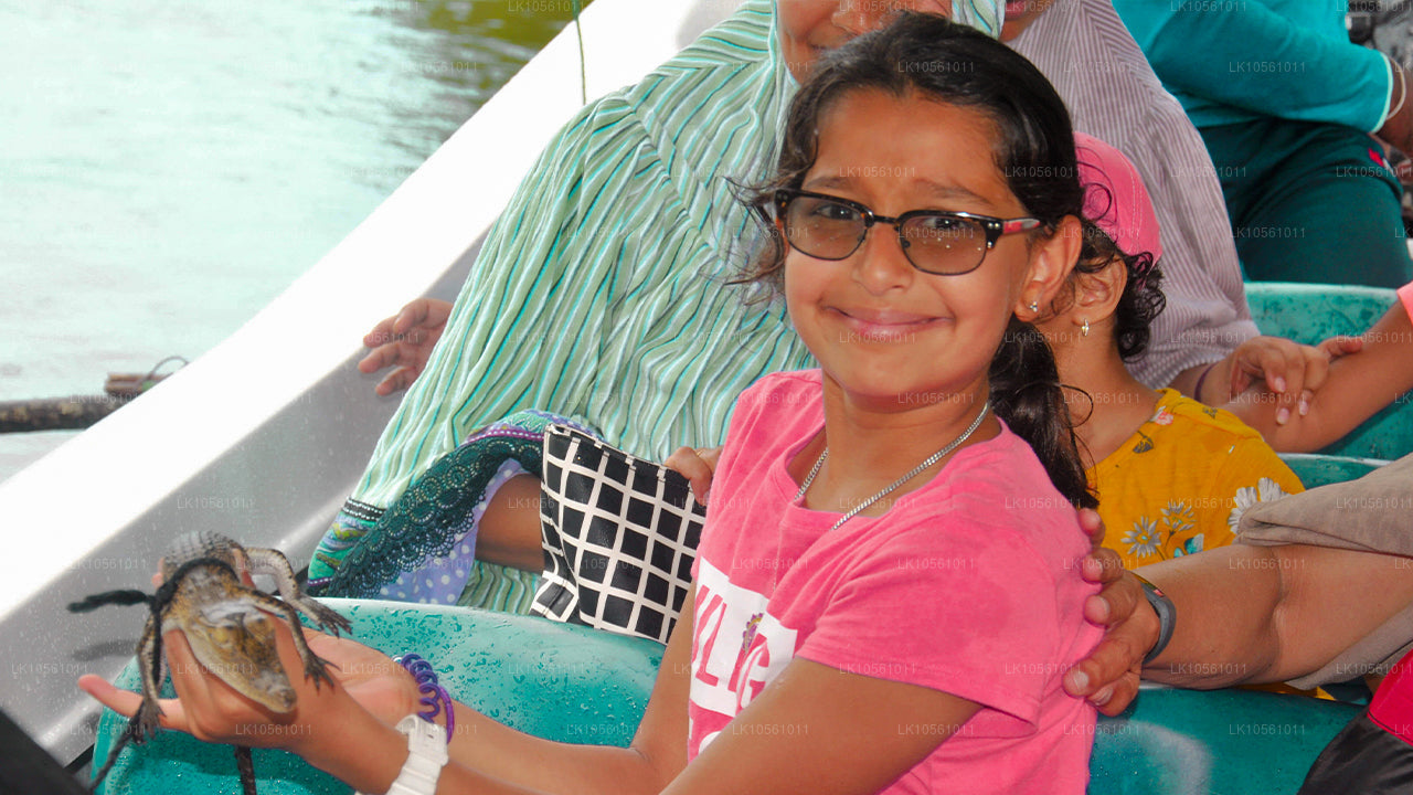 Island of Wonder (5 dagen)