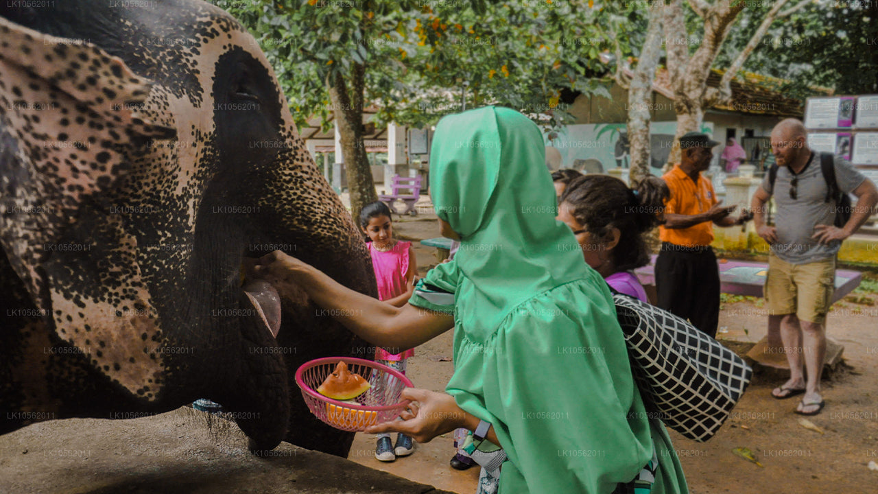 Een glimp van Sri Lanka (5 dagen)