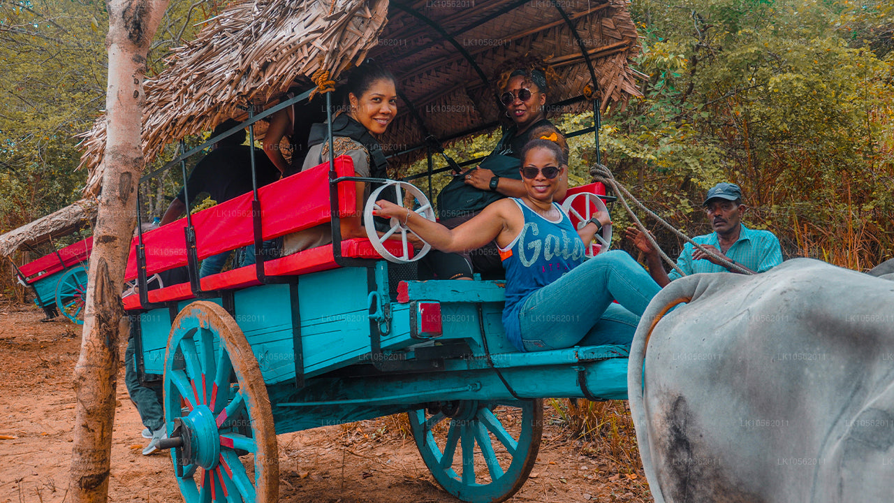 Een glimp van Sri Lanka (5 dagen)