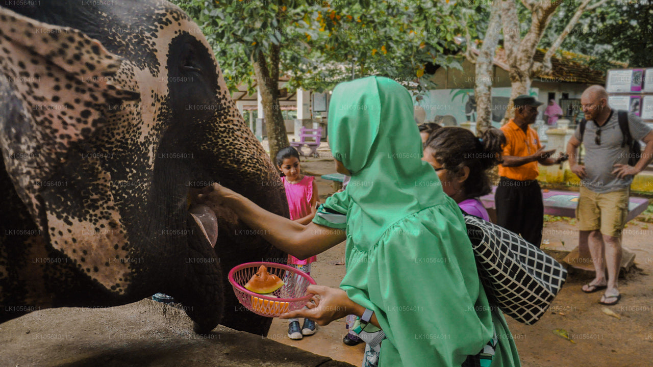 Hotspots van Sri Lanka (5 dagen)
