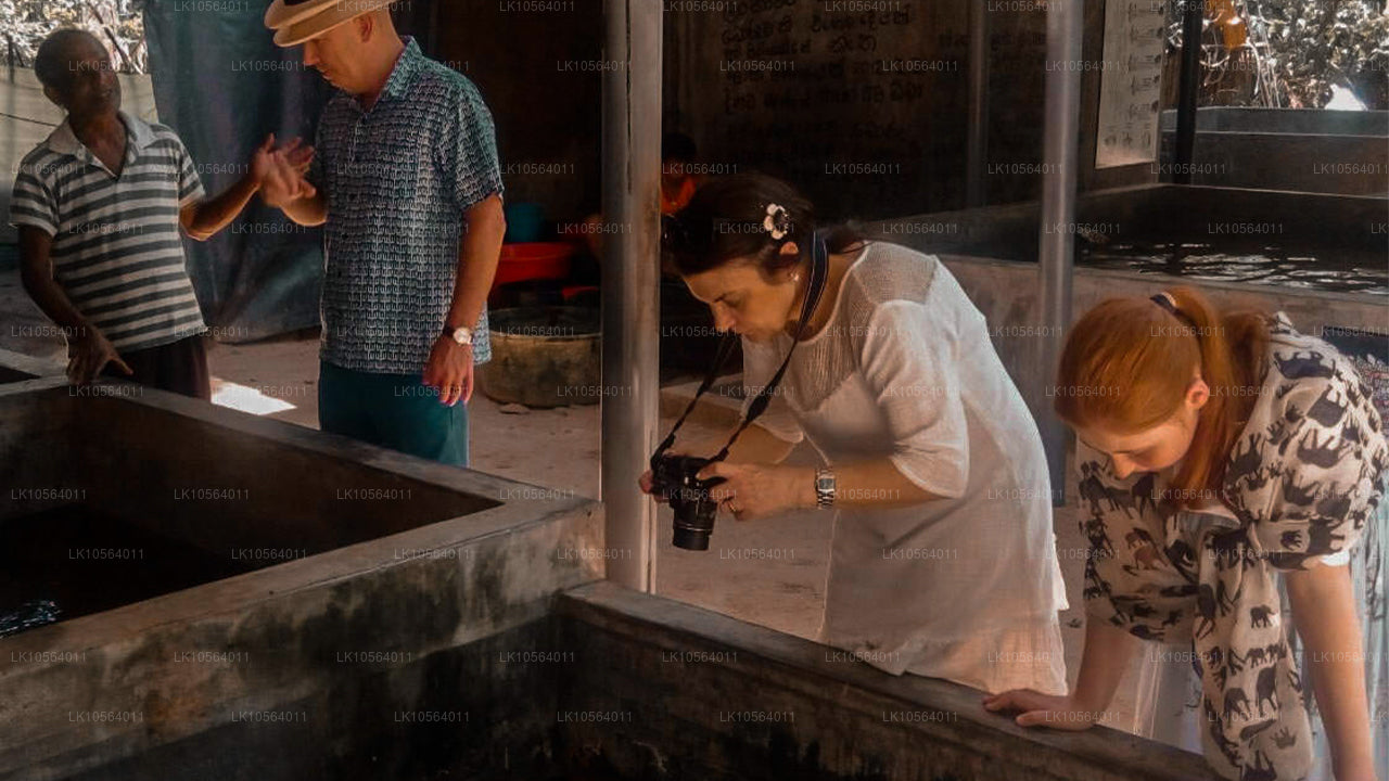 Hotspots van Sri Lanka (5 dagen)