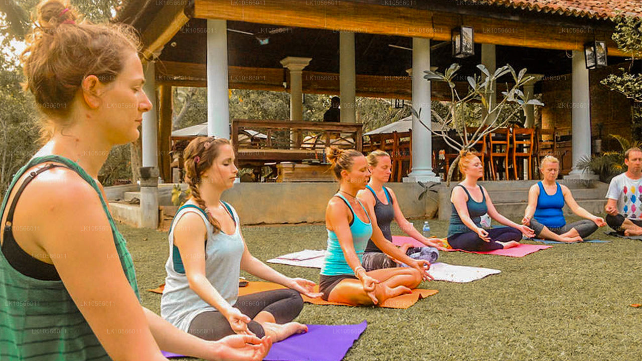 Meditatie- en yogatour (5 dagen)