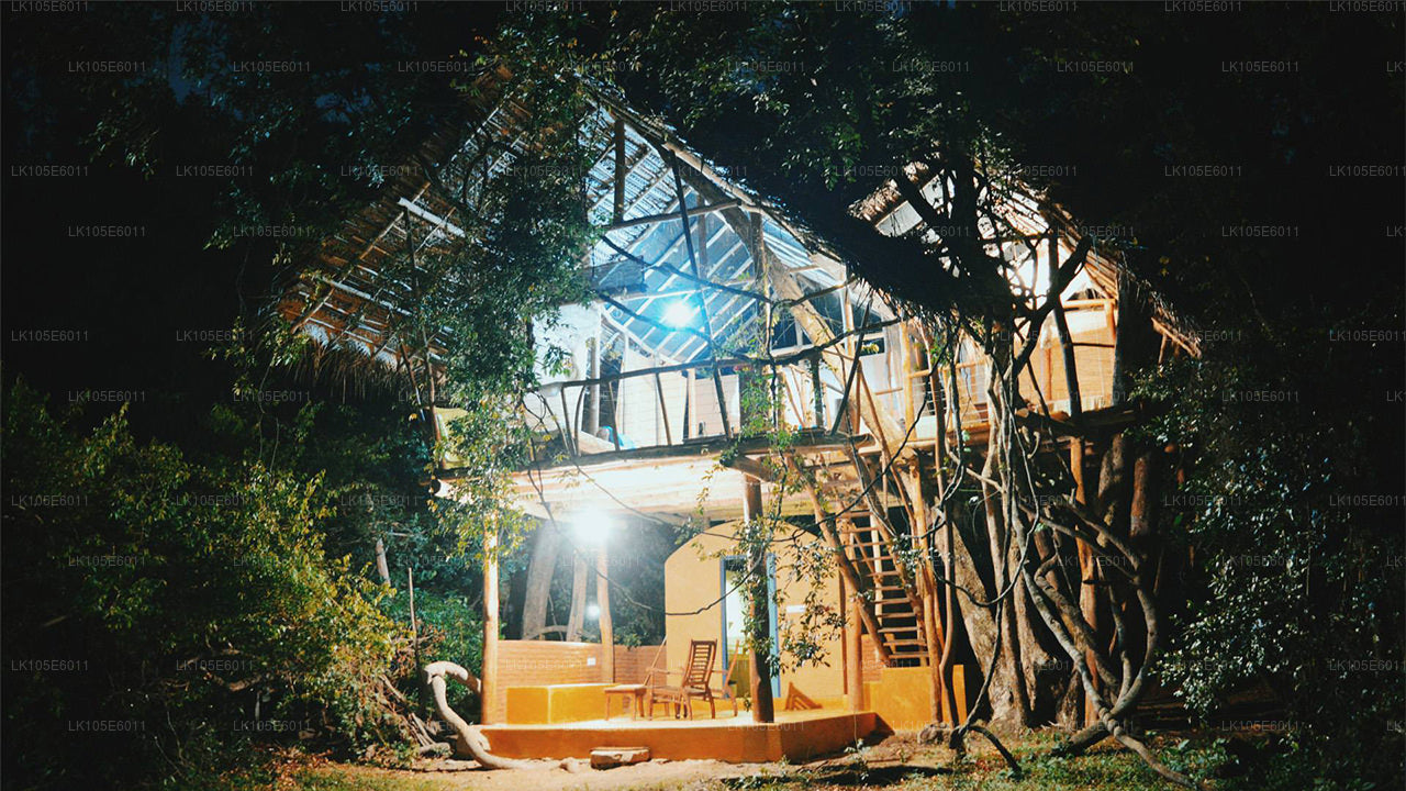 Eco-rondreizen door Sri Lanka (6 dagen)