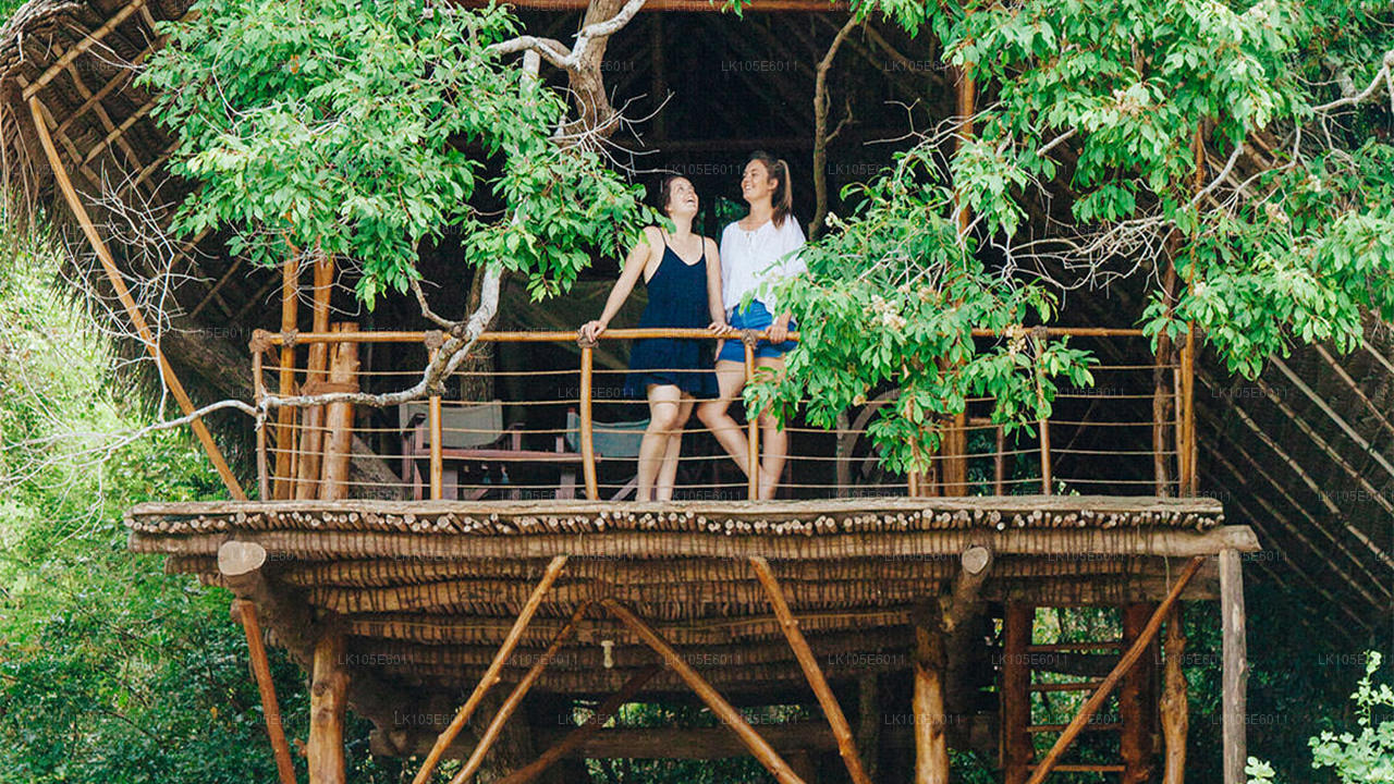 Eco-rondreizen door Sri Lanka (6 dagen)