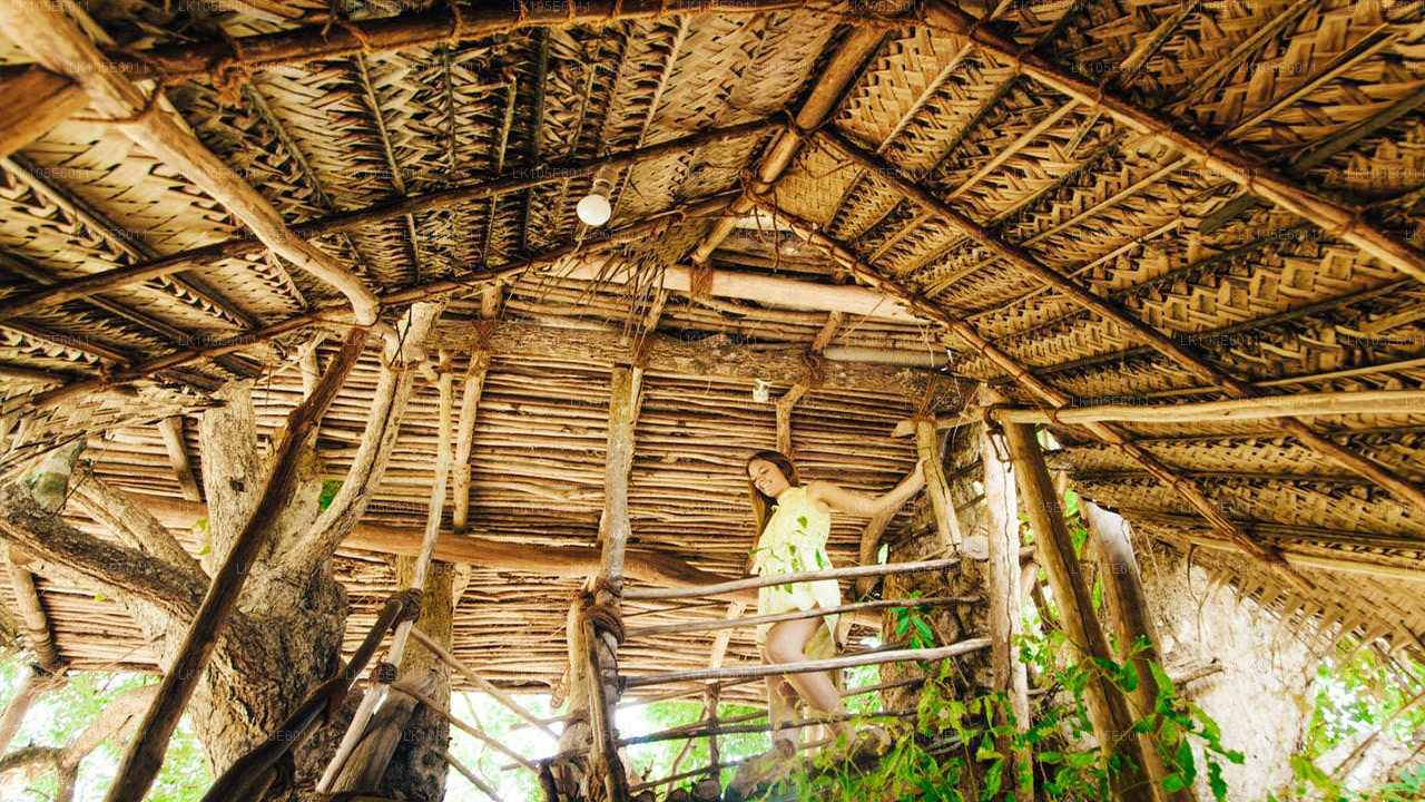 Eco-rondreizen door Sri Lanka (6 dagen)