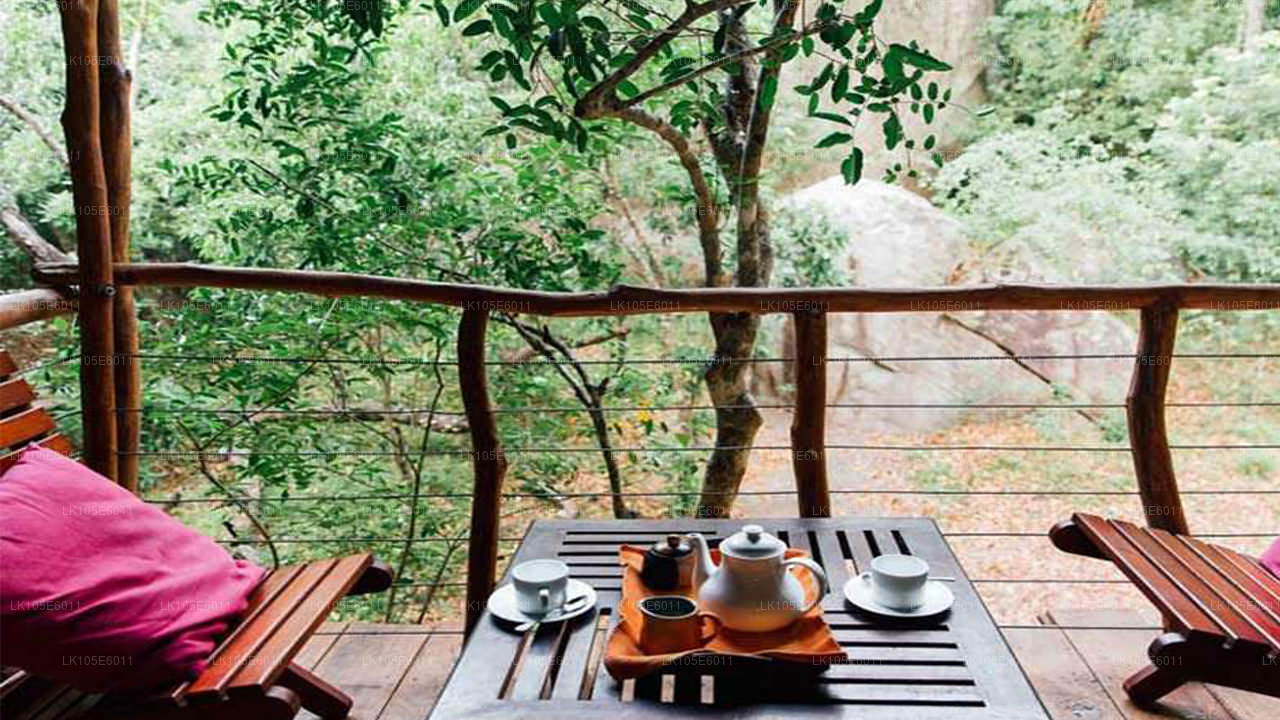 Eco-rondreizen door Sri Lanka (6 dagen)