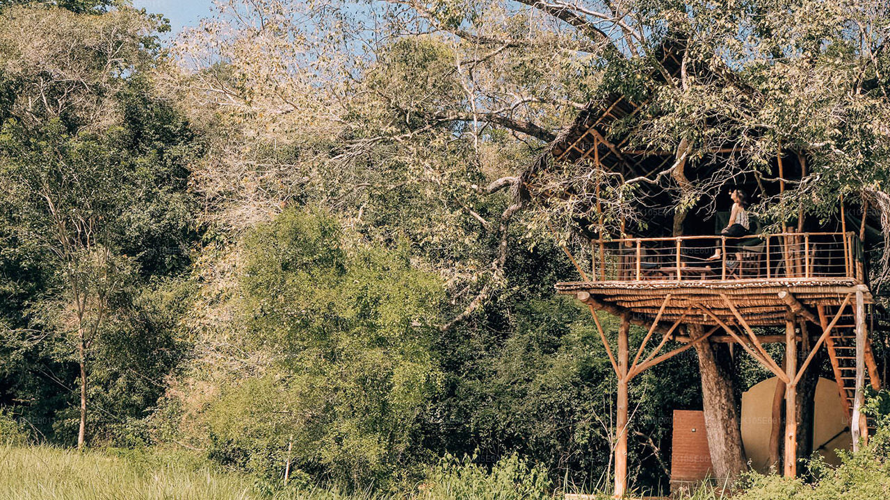 Eco-rondreizen door Sri Lanka (6 dagen)