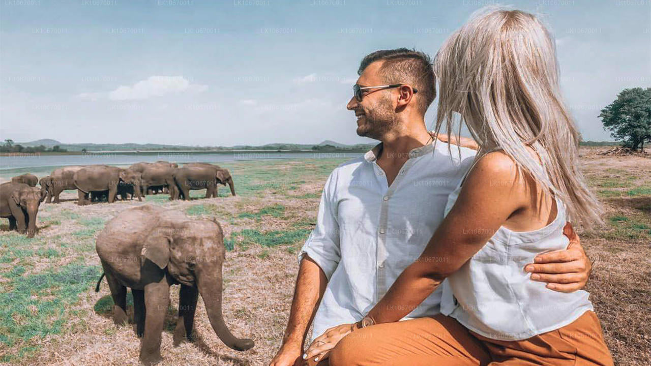 Cultureel en centraal land (6 dagen)