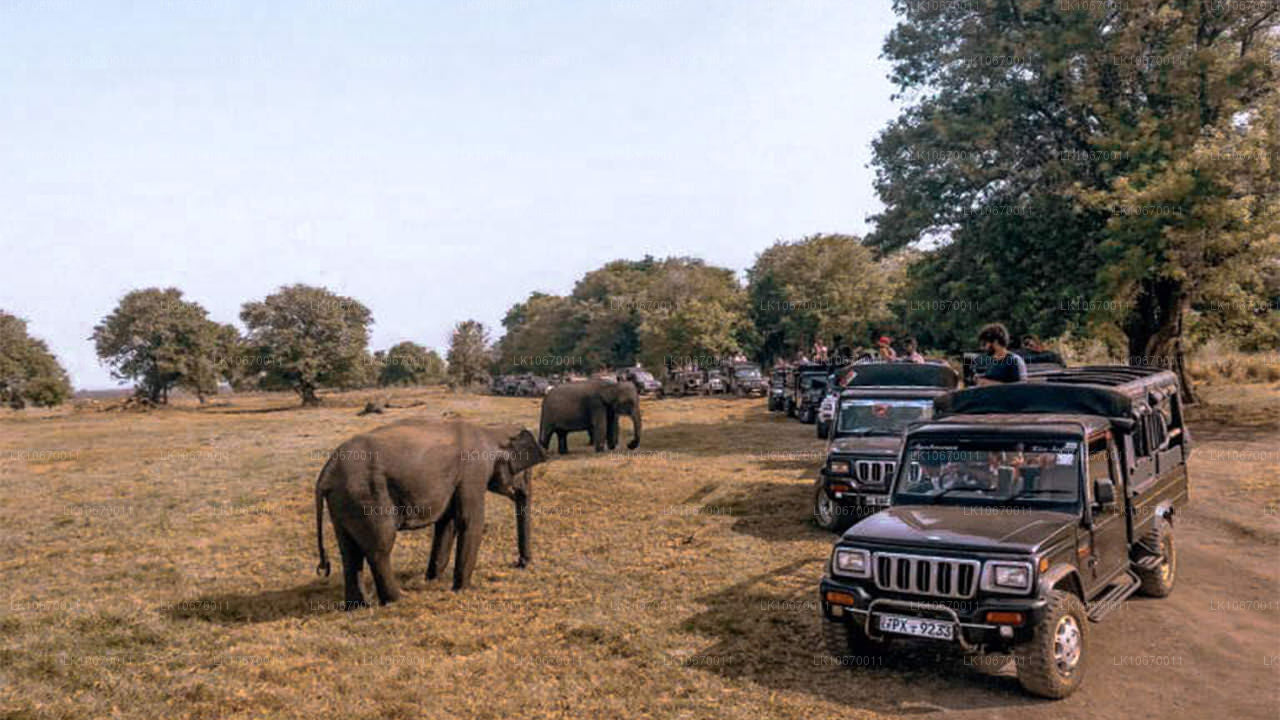 Cultureel en centraal land (6 dagen)