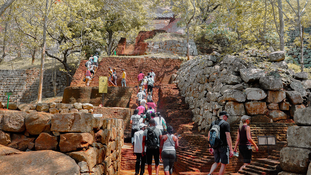 Boeddhistische pelgrimstocht (6 dagen)