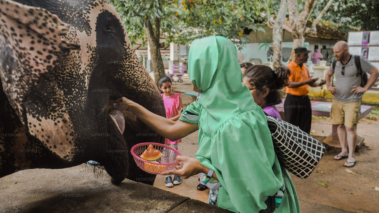 Boeddhistische pelgrimstocht (6 dagen)