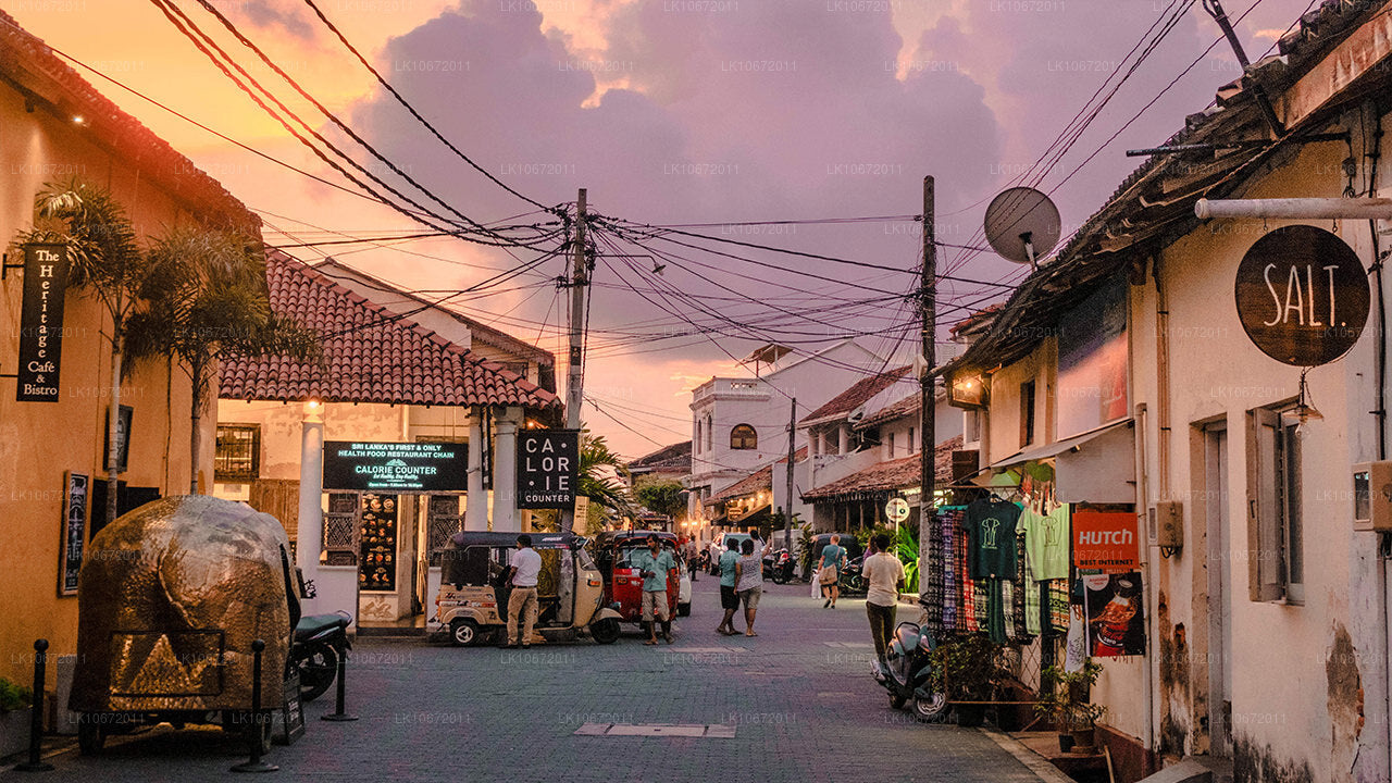 Boeddhistische pelgrimstocht (6 dagen)
