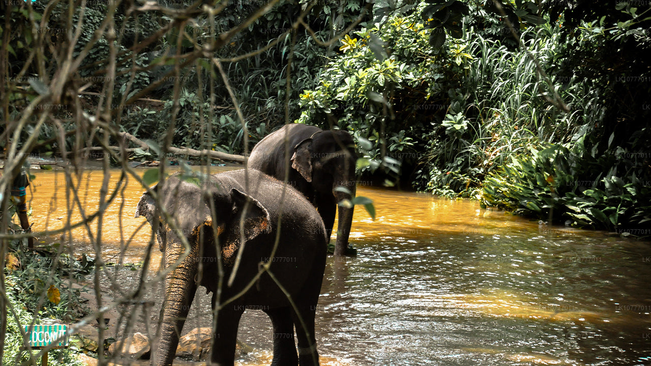 Week in het paradijs (7 dagen)