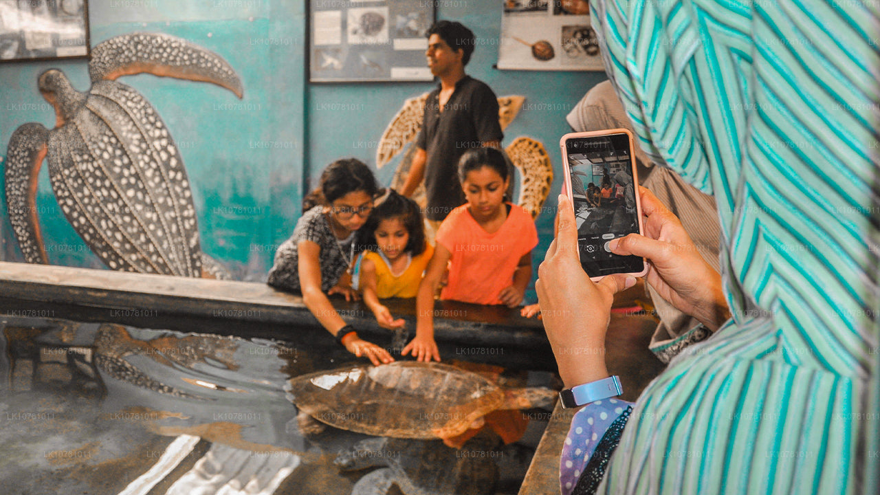 Gouden kust van het Zuiden (7 dagen)
