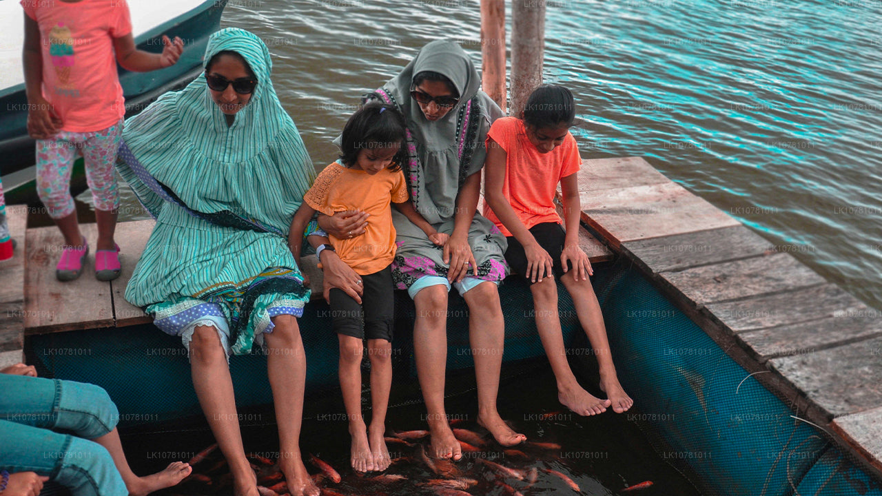 Gouden kust van het Zuiden (7 dagen)