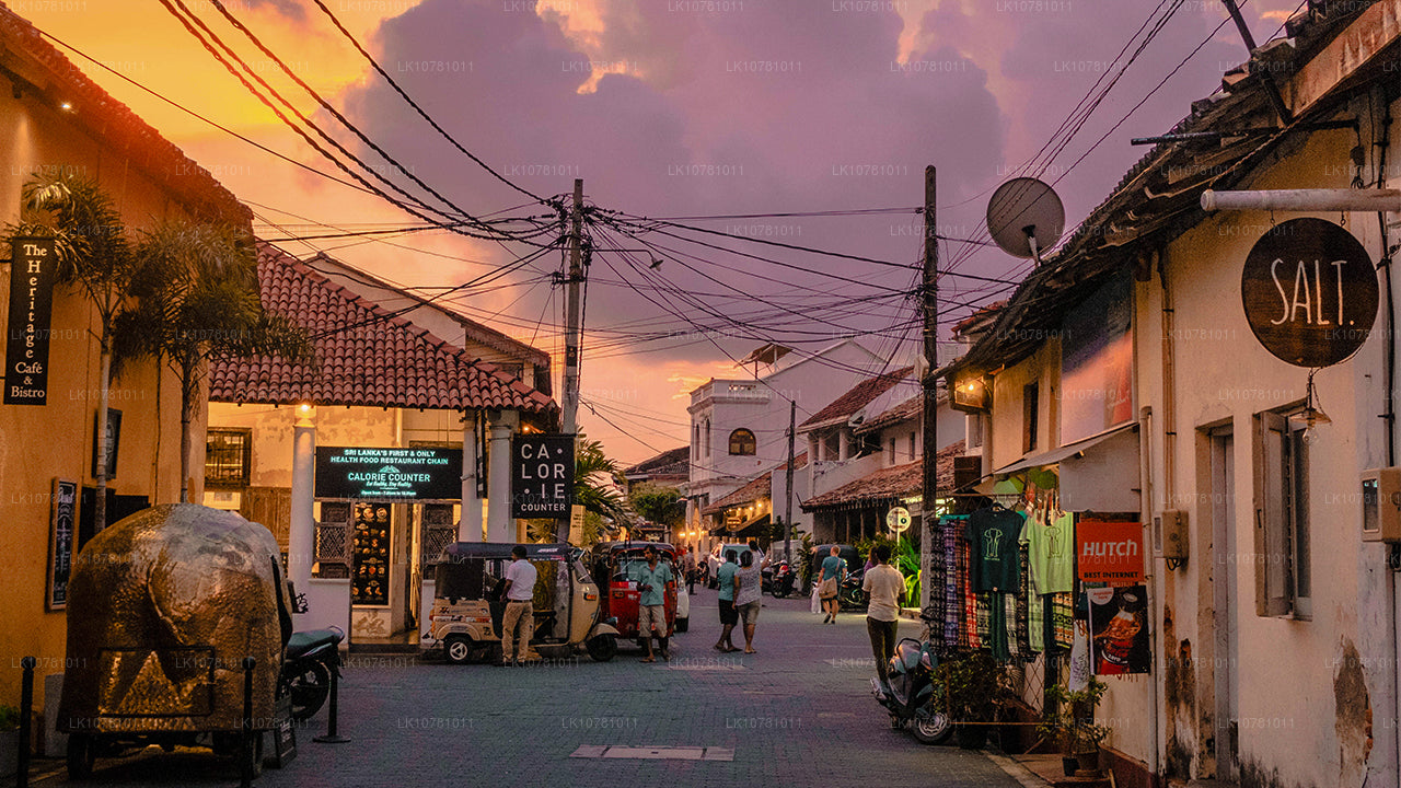 Gouden kust van het Zuiden (7 dagen)
