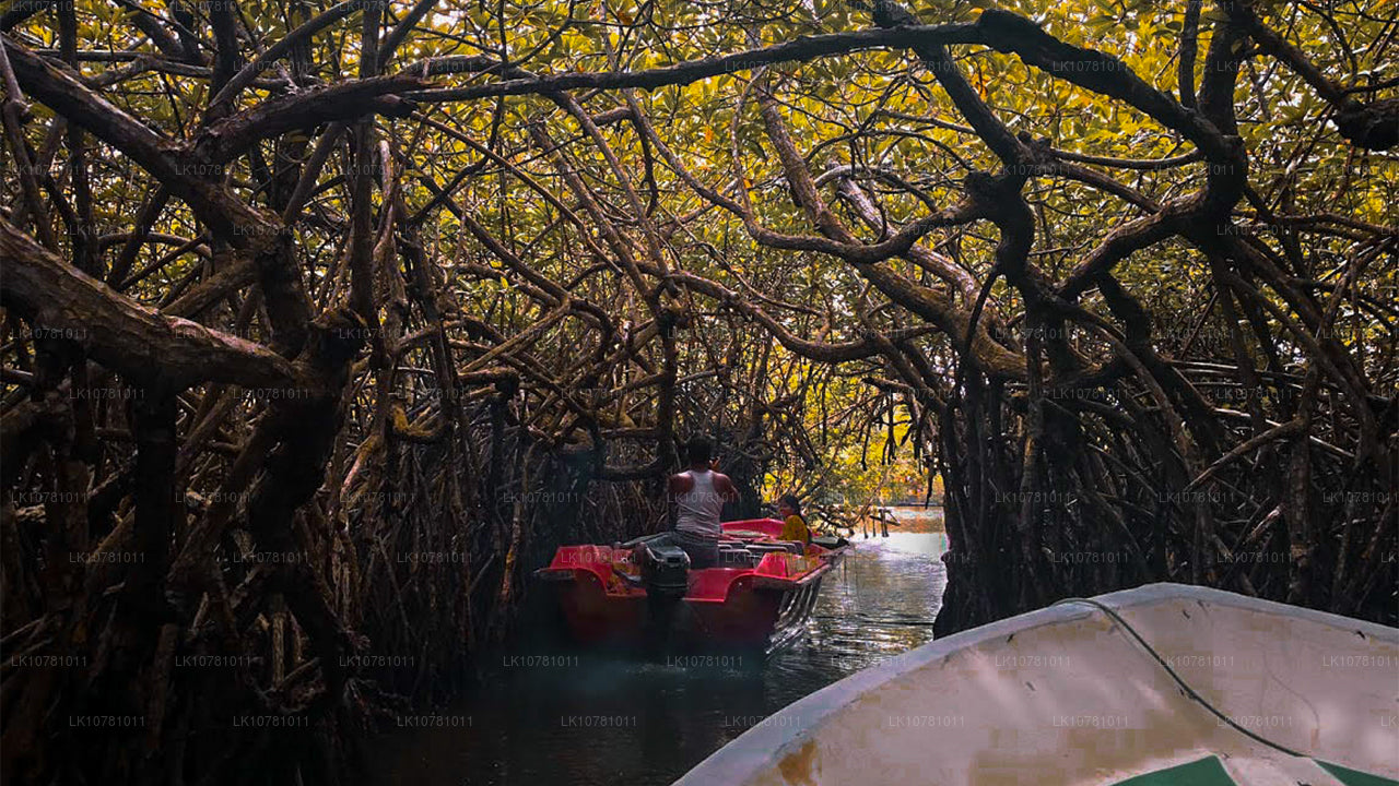 Gouden kust van het Zuiden (7 dagen)