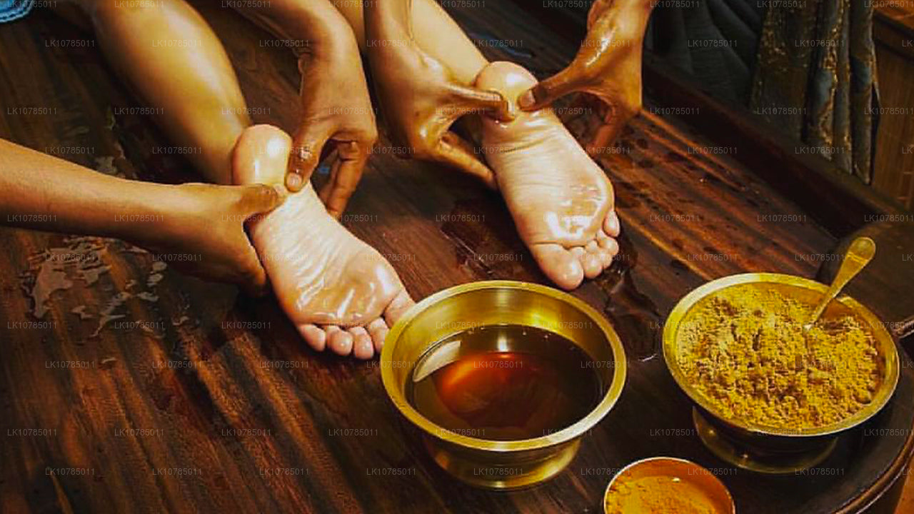 Ayurveda-uitje in Wadduwa (7 dagen)