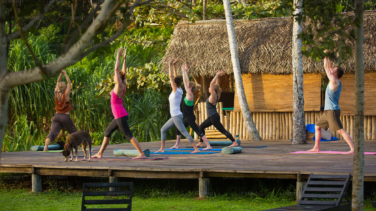 Ayurveda-uitje in Wadduwa (7 dagen)