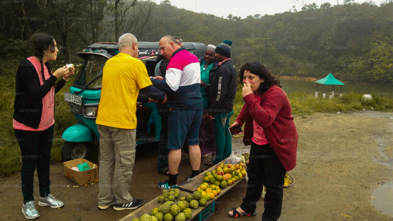 Cultuur- en culinaire expeditie (7 dagen)