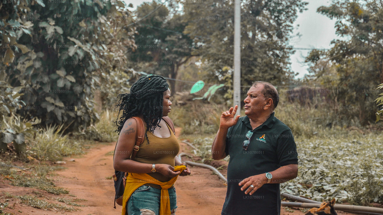 Cultuur- en culinaire expeditie (7 dagen)