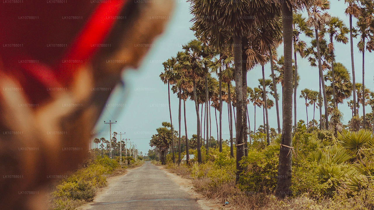 Ongelooflijke Jaffna (7 dagen)