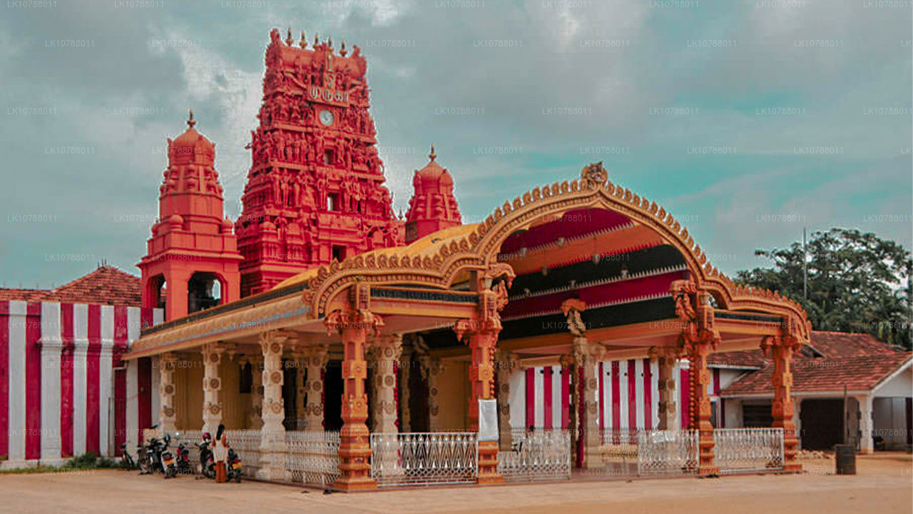 Ongelooflijke Jaffna (7 dagen)