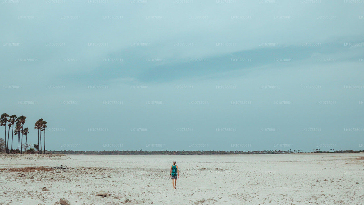 Ongelooflijke Jaffna (7 dagen)