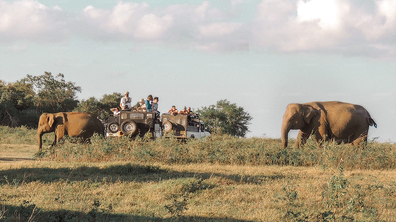 Wandeling midden in de cultuur (8 dagen)