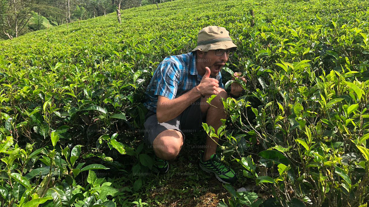 Wandeling midden in de cultuur (8 dagen)