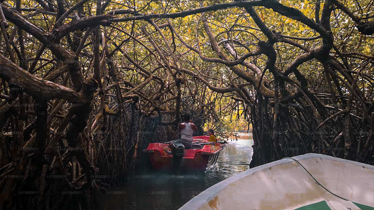 Wandeling midden in de cultuur (8 dagen)