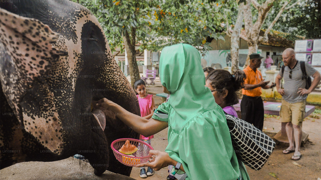 Quintessential Ceylon (8 dagen)