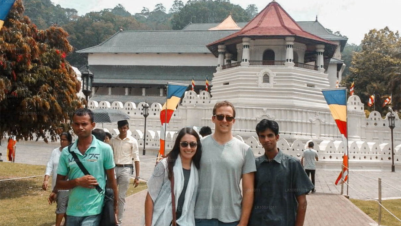 Quintessential Ceylon (8 dagen)