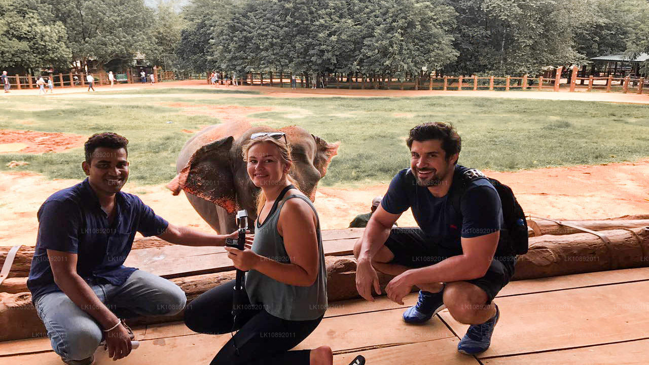 Cultuur, wildernis en natuur (8 dagen)