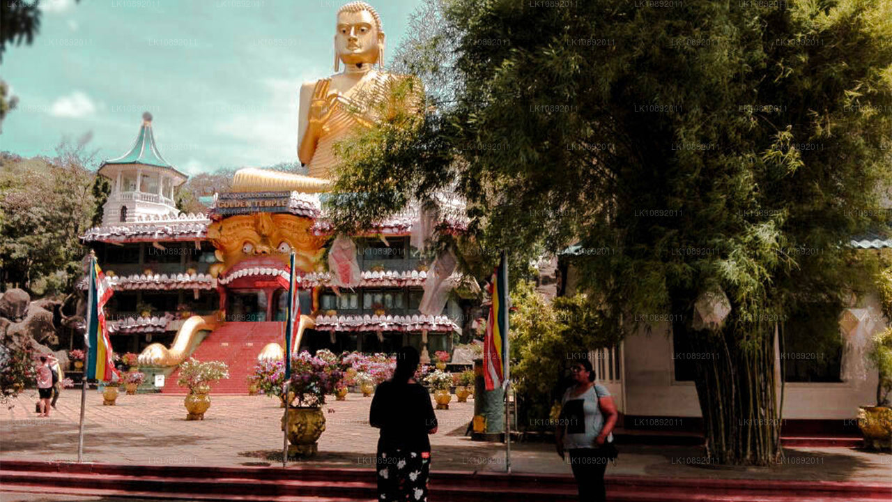 Cultuur, wildernis en natuur (8 dagen)